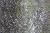 Kilrea fibreglass roof work